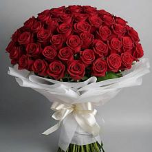 Букет 101 Красная роза Блэк Мэджик #REPLACE_PRED# Таштаголе