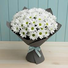 Букет цветов из:  Хризантемы #REPLACE_PRED# Таштаголе