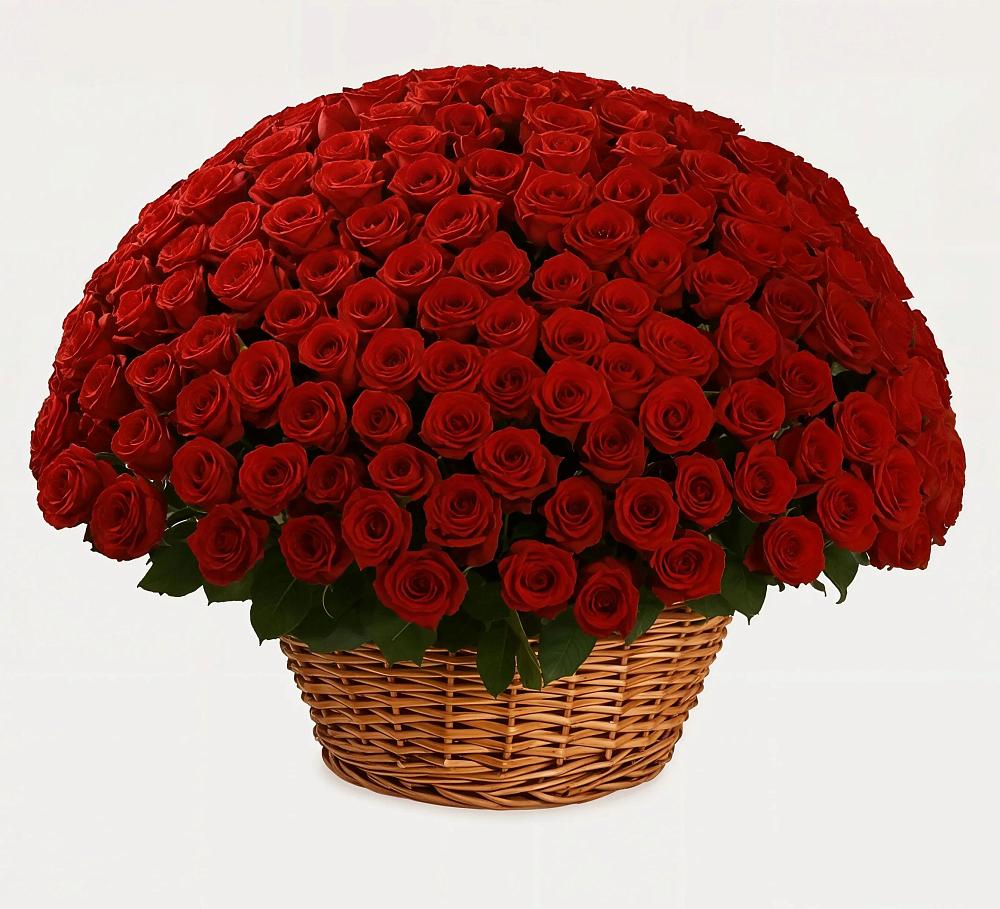 Премиум букет из: Розы в Таштаголе