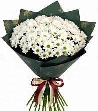 Букет цветов из:  Хризантемы в Таштаголе