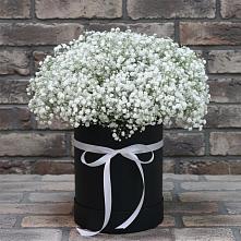 Цветочная композиция из Гипсофила в шляпной коробке в Таштаголе