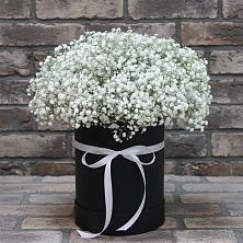 Цветочная композиция из Гипсофила в шляпной коробке в Таштаголе