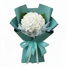 Букет цветов из:  Гортензия #REPLACE_PRED# Таштаголе